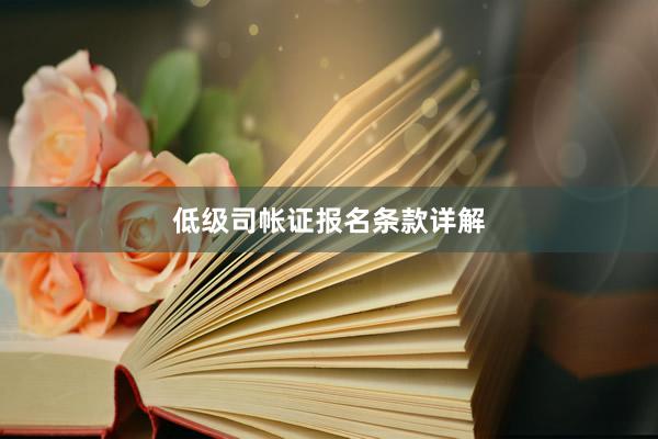 低级司帐证报名条款详解