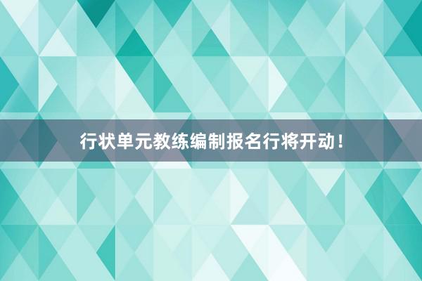 行状单元教练编制报名行将开动！