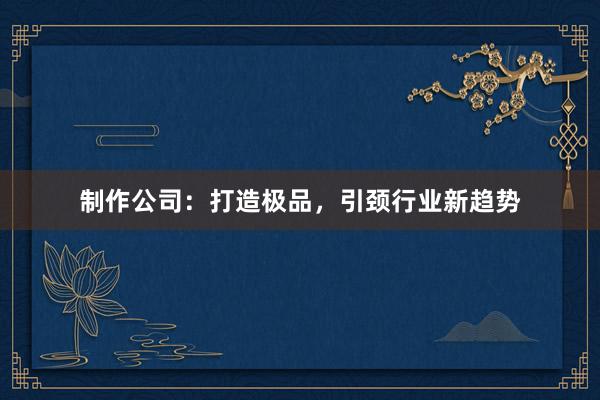 制作公司：打造极品，引颈行业新趋势