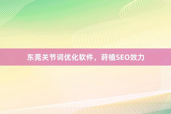 东莞关节词优化软件，莳植SEO效力