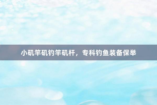 小矶竿矶钓竿矶杆，专科钓鱼装备保举