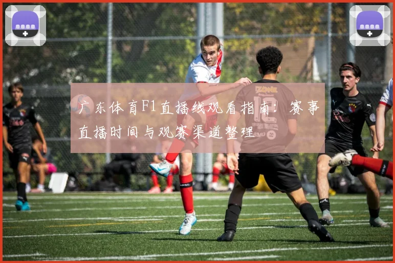 广东体育F1直播线观看指南：赛事直播时间与观赛渠道整理