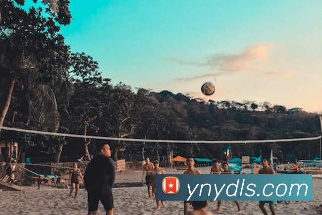 来球网免费直播nbaAPP 封面图